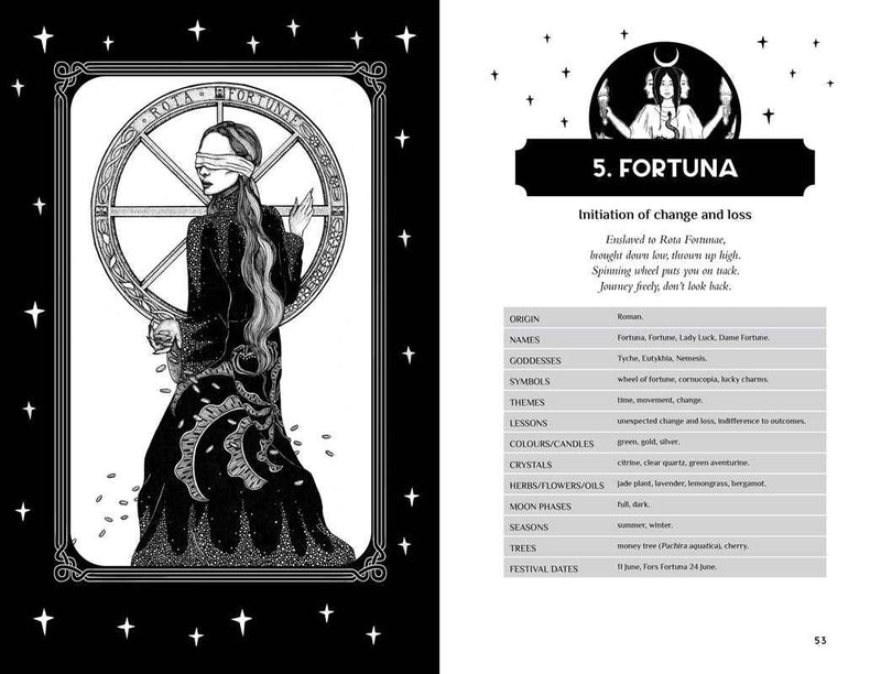 Reclaim your Dark Goddess by Flavia Kate Peters