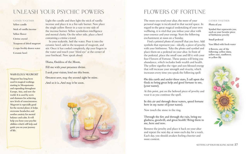 Book of Witchy Wellbeing by Cerridwen Greenleaf