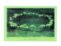 rectangular green soap with image of a fairy ring on it
