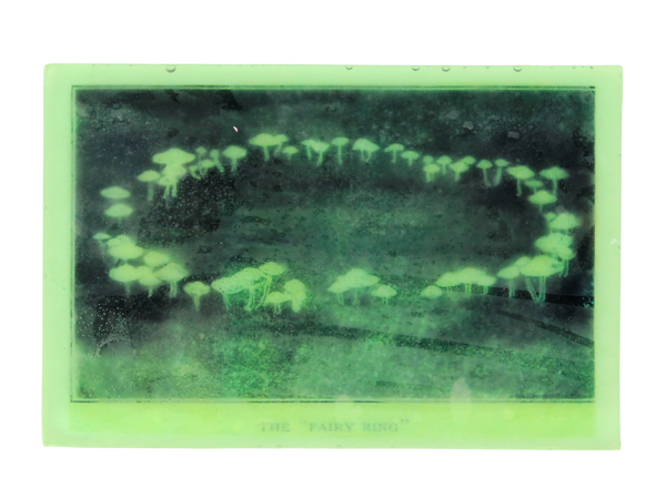 rectangular green soap with image of a fairy ring on it
