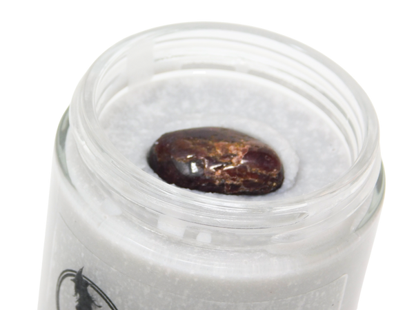 Plumkin Body Butter