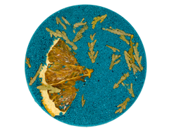 green circular bath bomb pressed with orange peel and cedar