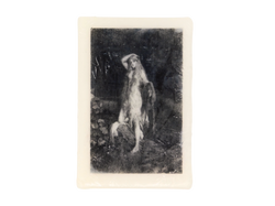 image soap of a witch by a well shedding her skin