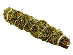 bundle of juniper